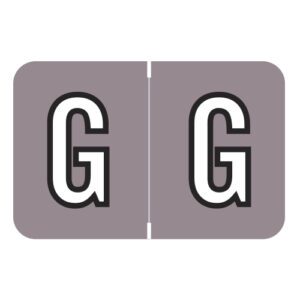 Barkley FABKM Compatible Alpha Labels, Letter "G", Lilac, Laminated Stock, 1" X 1-1/2" Individual Letters - Pack of 225 - Image 1