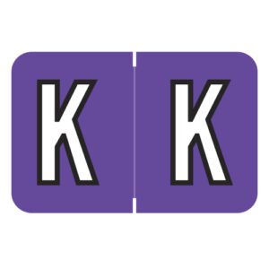 Barkley FABKM Compatible Alpha Labels, Letter "K", Purple, Laminated Stock, 1" X 1-1/2" Individual Letters - Pack of 225 - Image 1