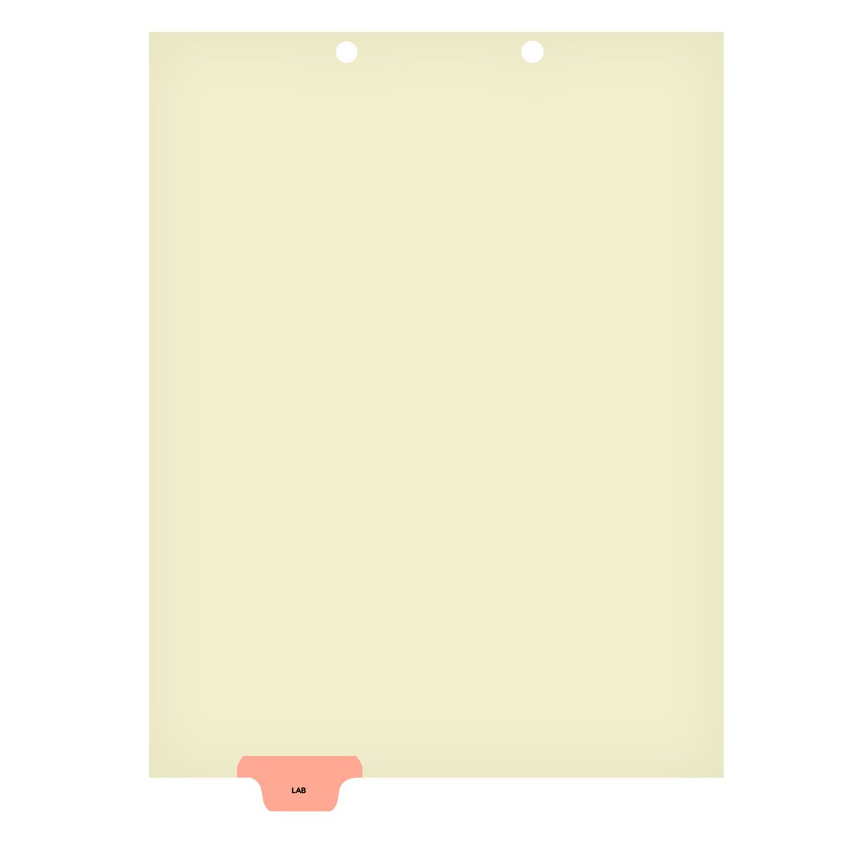 Individual Stock Chart Divider Tabs, Lab, Pink, Bottom Tab, 1/6th Cut