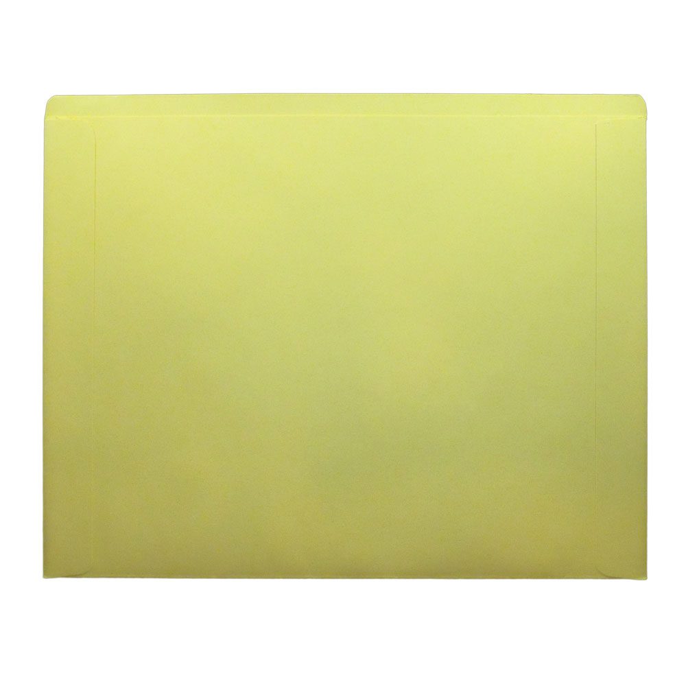 EZ Line Printed Vehicle Deal Record Envelopes 9x12 Jackets 100 Pack Sage Green Simple