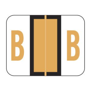 TPAV Compatible Alpha Labels, Letter "B", Fluorescent Orange, Vinyl Stock,  1" X 1-1/4" Individual Letters - Roll of 500 - Image 1