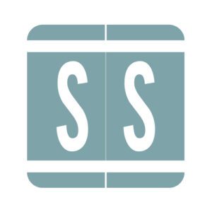 GBS Compatible Alpha Labels, Letter "S", Light Blue, Laminated Stock, 1-5/16" X 1-1/4" Individual Numbers - Roll of 250