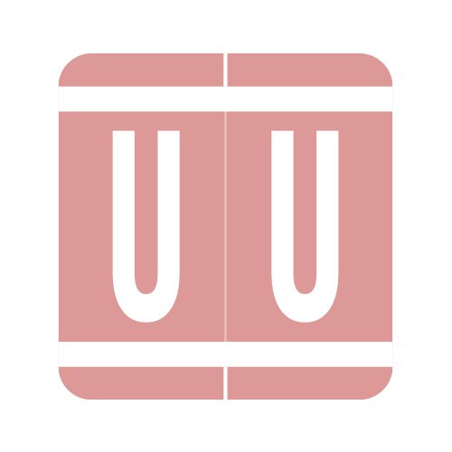 VRAM-U