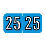 2025 Year Labels, Blue, Barkley Compatible, 3/4" X 1-1/2" - Bulk (5 Rolls of 500)