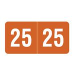 2025 Year Labels, Brown, Smead Compatible, 1/2" X 1" - Roll of 500