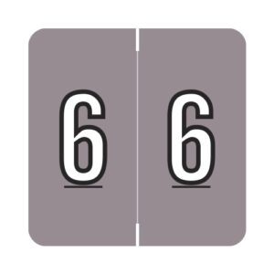 Barkley FNDBM Compatible Numerical Labels, Number "6" , Gray, Laminated Stock, 1" X 1-1/2" Individual Numbers - Roll of 500