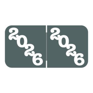 2026 Year Labels, Grey, Jeter Compatible, 3/4" X 1-1/2" - Bulk (5 Rolls of 500)