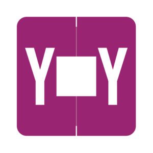 Barkley FADBM Compatible Alpha Labels, Letter "Y", Dark Pink, Laminated Stock, 1-1/2" X 1-1/2" Individual Letters - Pack of 228 - Image 1