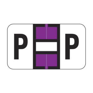 Jeter MAP Compatible Alpha Labels, Letter "P", Purple, Laminated Stock, 15/16" X 1-5/8" Individual Letters - pack of 126 - Image 1