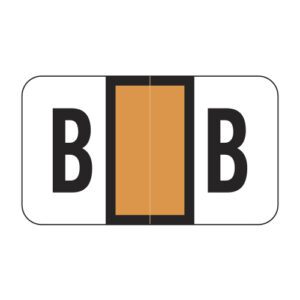 POS Compatible Alpha Ringbook Sheets, Letter "B", Orange, Laminated Stock, 15/16" X 1-5/8" Individual Letters - Roll of 240 - Image 1