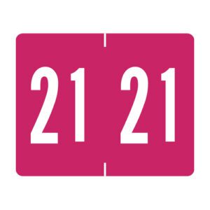2021 Year Labels, Red, Tab Products Compatible, Vinyl Stock, 1" X 1-1/4" - Bulk (5 Rolls of 500) - Image 1