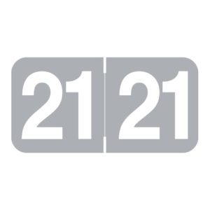 2021 Year Labels, Gray, Ames Compatible, Laminated Stock, 3/4" X 1-1/2" - Roll of 500 - Image 1