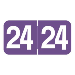 2024 Year Labels, Purple, Ames Compatible, Laminated Stock, 3/4" X 1-1/2" - Bulk (5 Rolls of 500) - Image 1