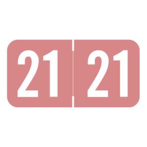 2021 Year Labels, Pink, S&W/Acme Compatible, 3/4" X 1-1/2" - Bulk (5 Rolls of 500) - Image 1