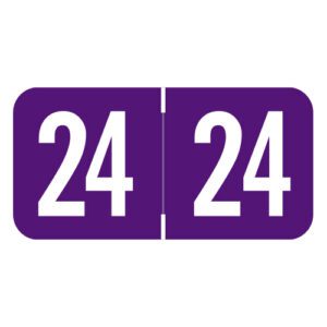 2024 Year Labels, Purple, S&W/Acme Compatible, 3/4" X 1-1/2" - Bulk (5 Rolls of 500) - Image 1