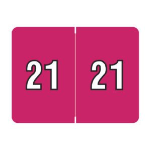 2021 Year Labels, Dark Pink, Datafile Compatible, Laminated Stock, 15/16" X 1-1/4" - Bulk (5 Rolls of 500) - Image 1