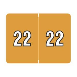 2022 Year Labels, Light Orange, Datafile Compatible, Laminated Stock, 15/16" X 1-1/4" - Bulk (5 Rolls of 500) - Image 1