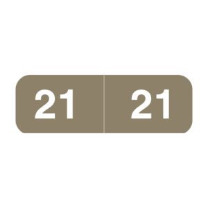 2021 Year Labels, Gray, Ames Compatible, Laminated Stock, 1/2" X 1-1/2" - Bulk (5 Rolls of 500) - Image 1