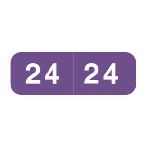 2024 Year Labels, Purple, Ames Compatible, Laminated Stock, 1/2" X 1-1/2" - Bulk (5 Rolls of 500) - Image 1