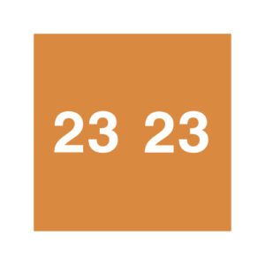 2023 Year Labels, Orange, Ames Compatible, Unlaminated Stock, 1-7/8" X 1-7/8" - Bulk (5 Rolls of 1000) - Image 1