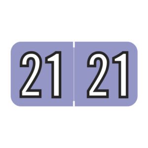 2021 Year Labels, Lilac, Amerifile Compatible, Laminated Stock, 3/4" X 1-1/2" - Bulk (5 Rolls of 500) - Image 1