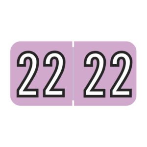 2022 Year Labels, Pink, Amerifile Compatible, Laminated Stock, 3/4" X 1-1/2" - Bulk (5 Rolls of 500) - Image 1