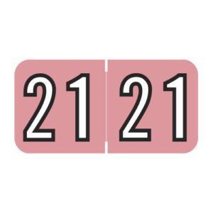 2021 Year Labels, Pink, Barkley Compatible, Laminated Stock, 3/4" X 1-1/2" - Bulk (5 Rolls of 500) - Image 1