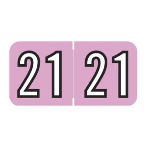 2021 Year Labels, Pink, Barkley Compatible, Laminated Stock, 3/4" X 1-1/2" - Bulk (5 Rolls of 500) - Image 1