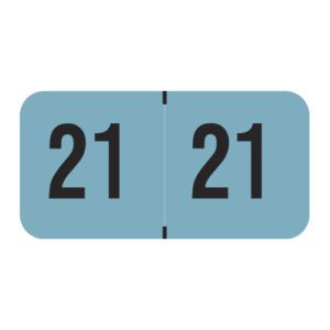 2021 Year Labels, PMA Fluorescent Blue Compatible, Laminated Stock, 3/4" X 1-1/2" - Bulk (5 Rolls of 500) - Image 1